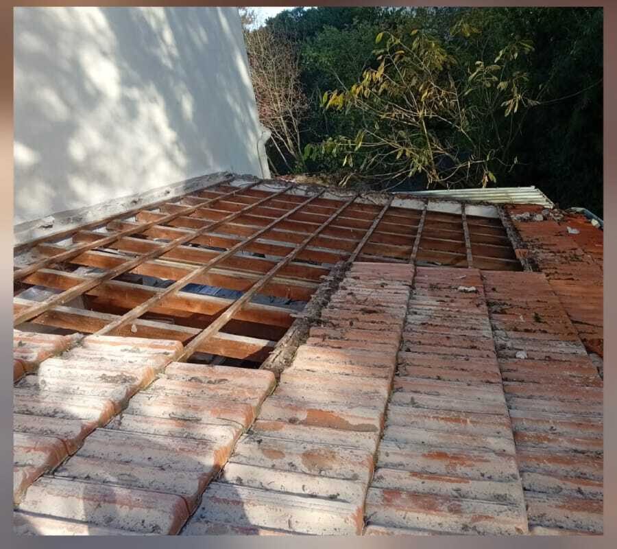 Toiture avant travaux, envahie par la mousse